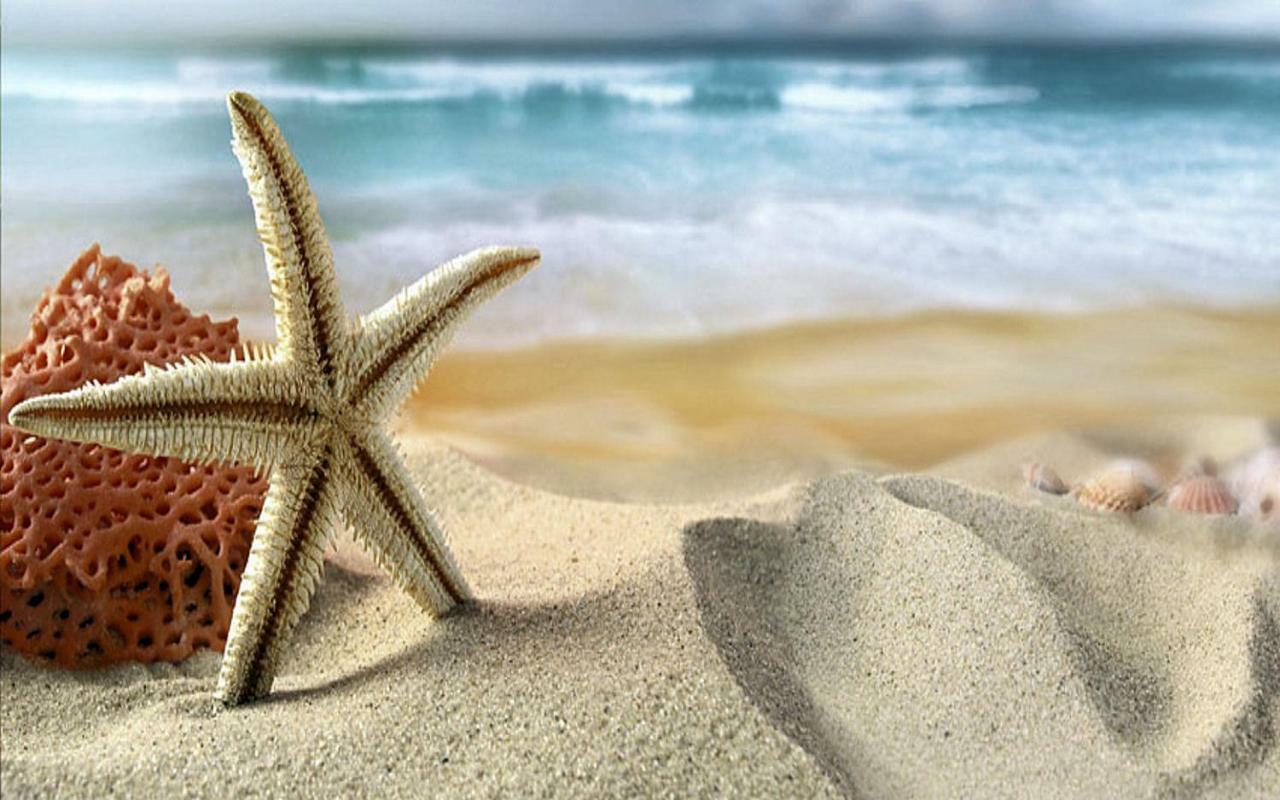 Luxury 5 Star Condominium Water Front 3 Beds 2 Bath Pool Hot-Tub Beach And City Views เคลียร์วอเตอร์บีช ภายนอก รูปภาพ